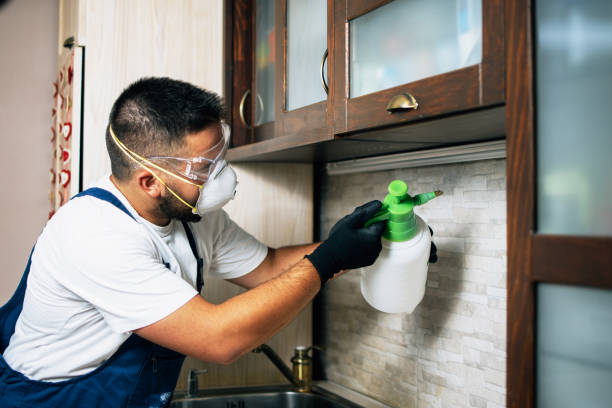 Best Pest Inspection Near Me  in St Albans, VT