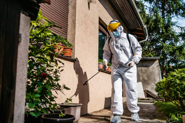 Pest Control Cost in St Albans, VT