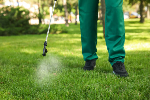 Best Local Pest Control Services  in St Albans, VT