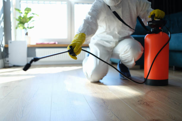 Best Best Pest Control Companies  in St Albans, VT