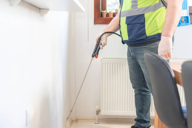Best Best Pest Control Near Me  in St Albans, VT