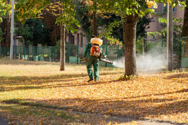 Best Wasp Removal Services  in St Albans, VT