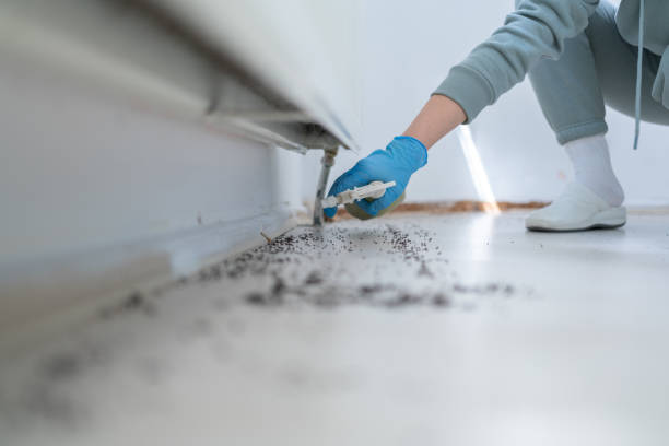  St Albans, VT Pest Control Pros